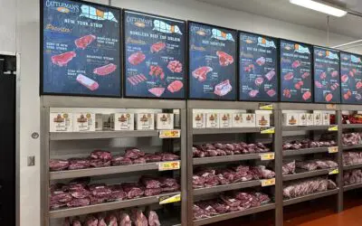 Primal Knowledge. Just What Are Primal Cuts of Meat?