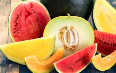 Summer Melon Recipes