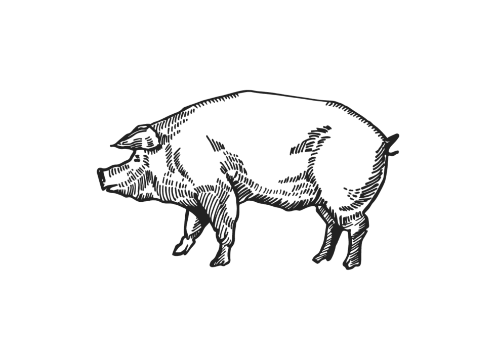 Find Us Cattleman's Meats Center Line, MI